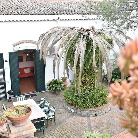 Villa Florence Trevelyan